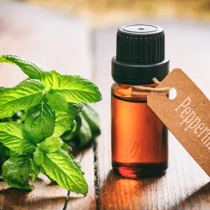 peppermint oil