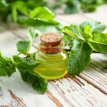 mint oil