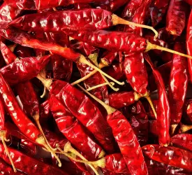 red chilli