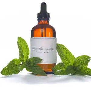 spearmint oil