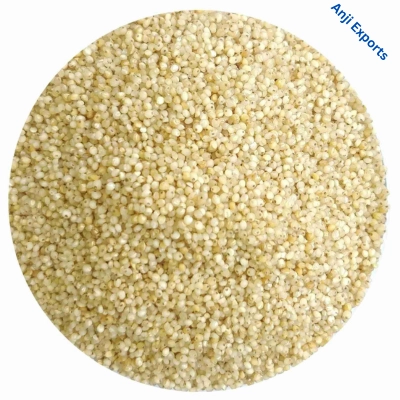 barnyard millet