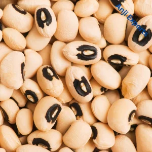 cow pea