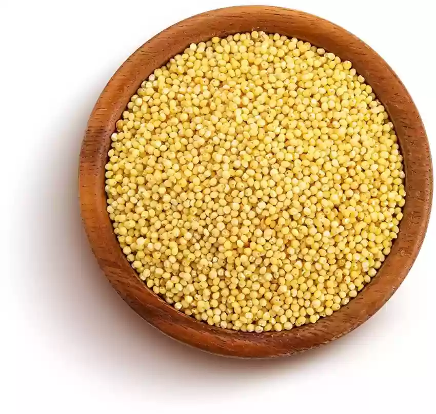 foxtail millet