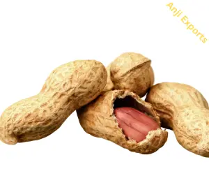 Peanuts in shell