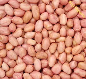 Java Peanuts