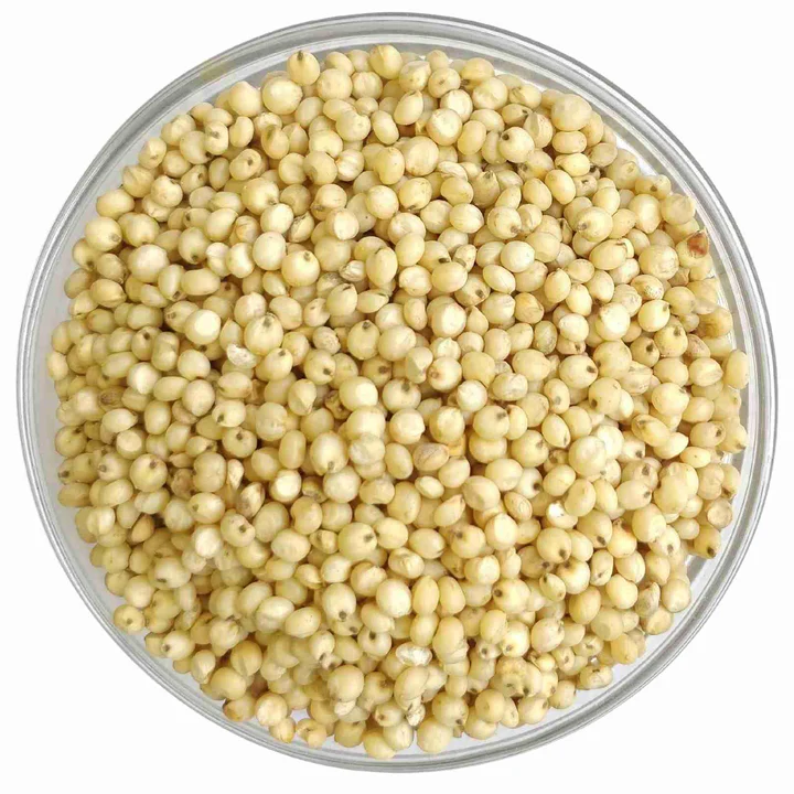 sorghum(Jowar)