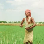 Agriculture fertilizers