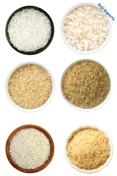 rice types