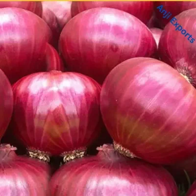 red onion